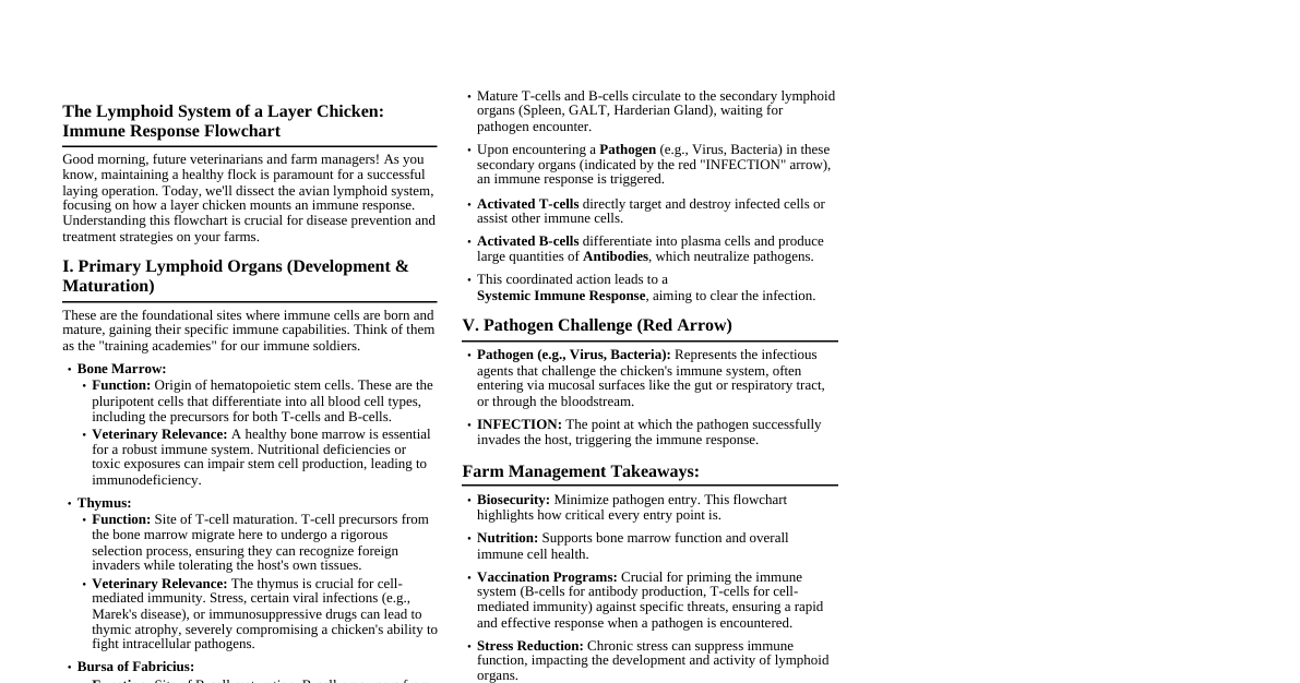 Avian Lymphoid System Flowchart