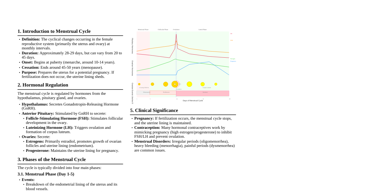 Menstrual Cycle (Class 12 Biology)