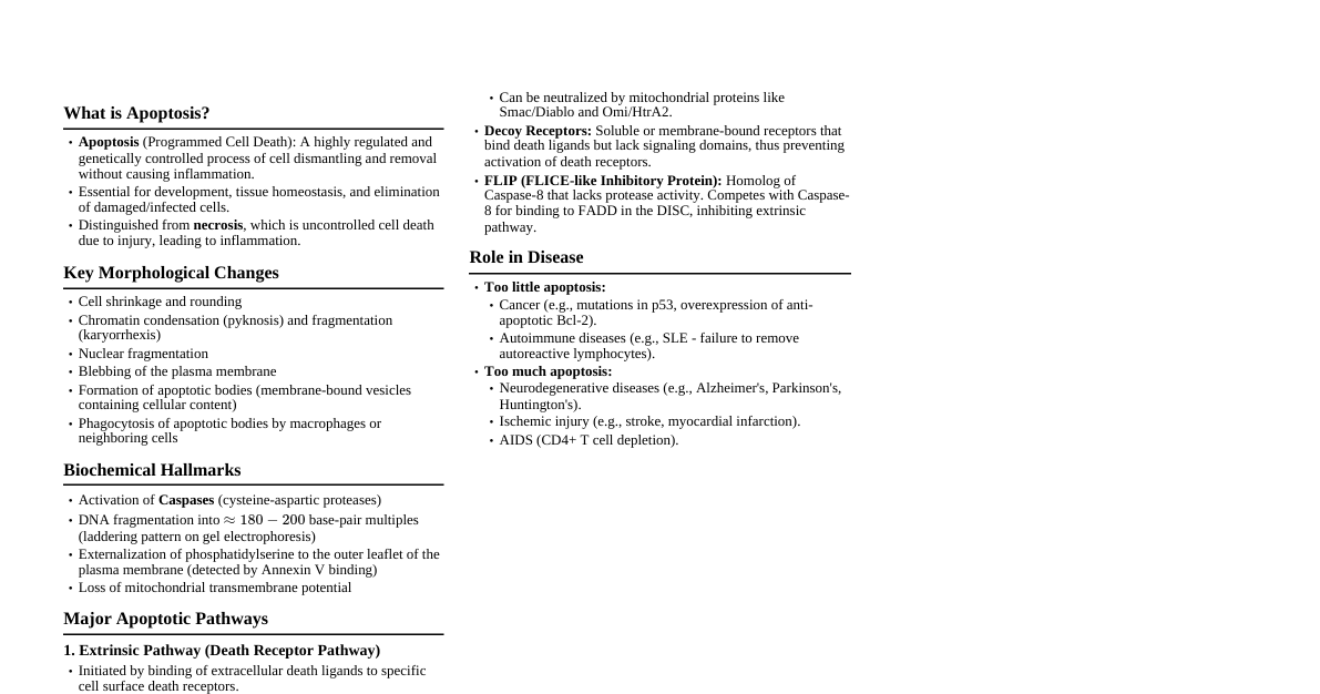 Apoptosis