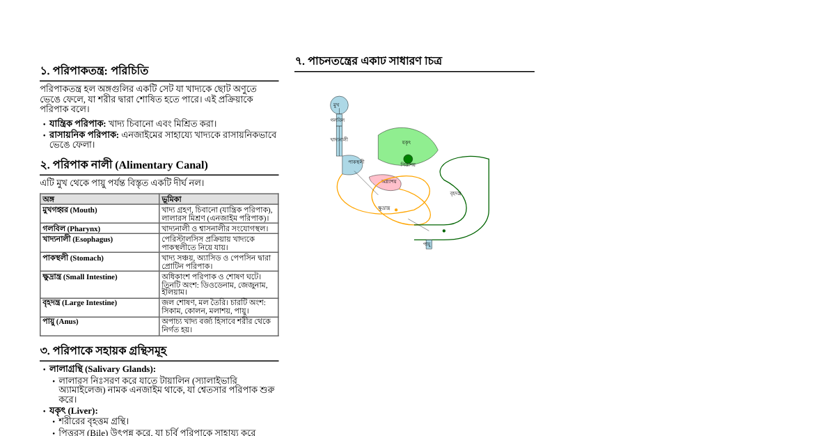 পরিপাকতন্ত্রের মূল বিষয়াবলী