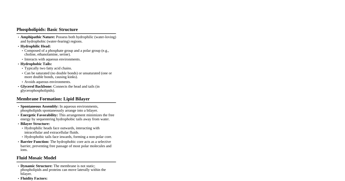 Phospholipid Membrane Role
