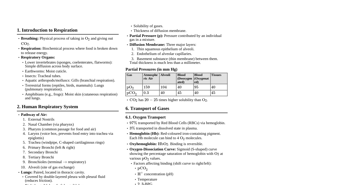 Breathing & Gas Exchange (Class 12)