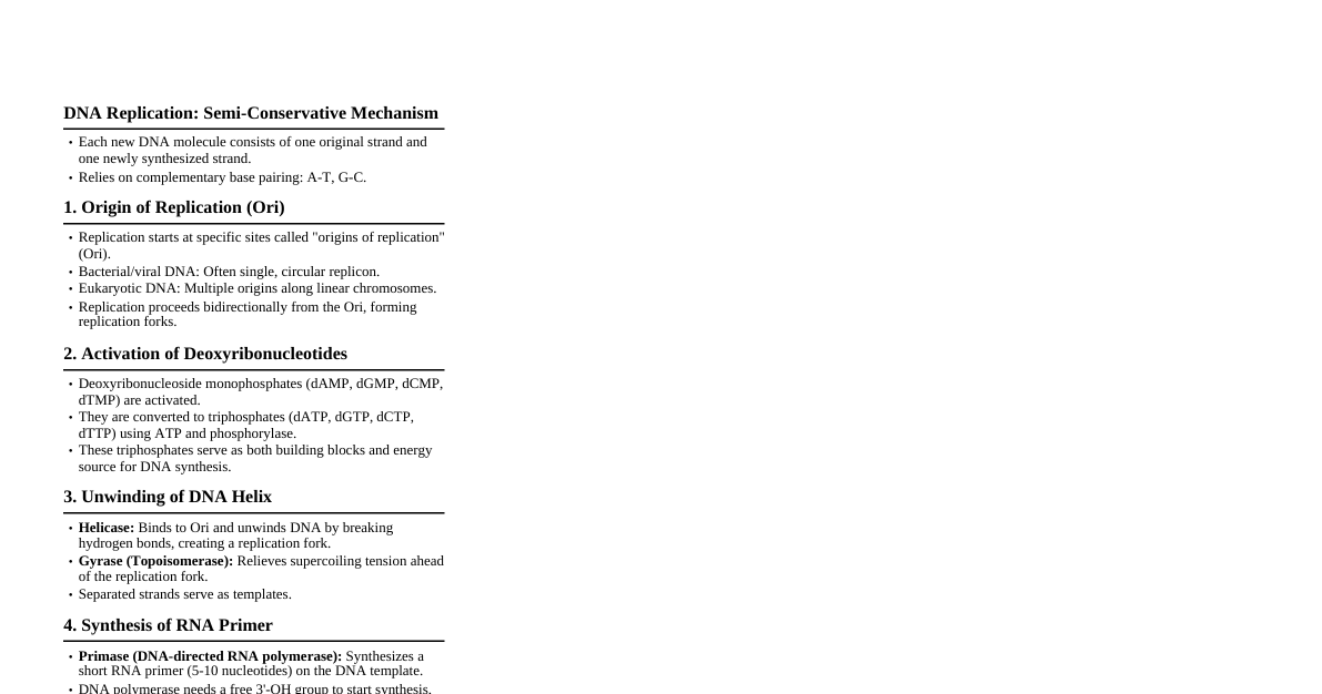 DNA Replication Mechanism