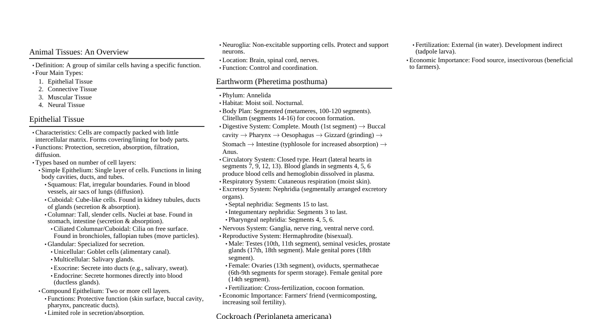 Animal Structural Org. (NEET)