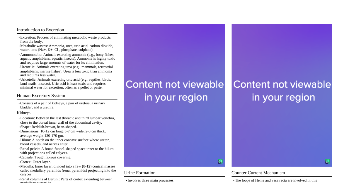 Human Excretory System