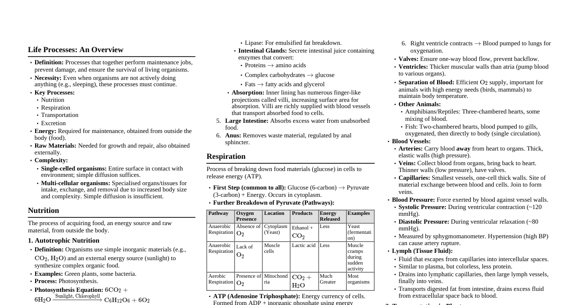 Life Processes (Biology)
