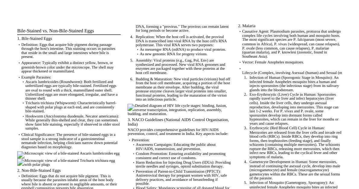 Microbiology Cheatsheet