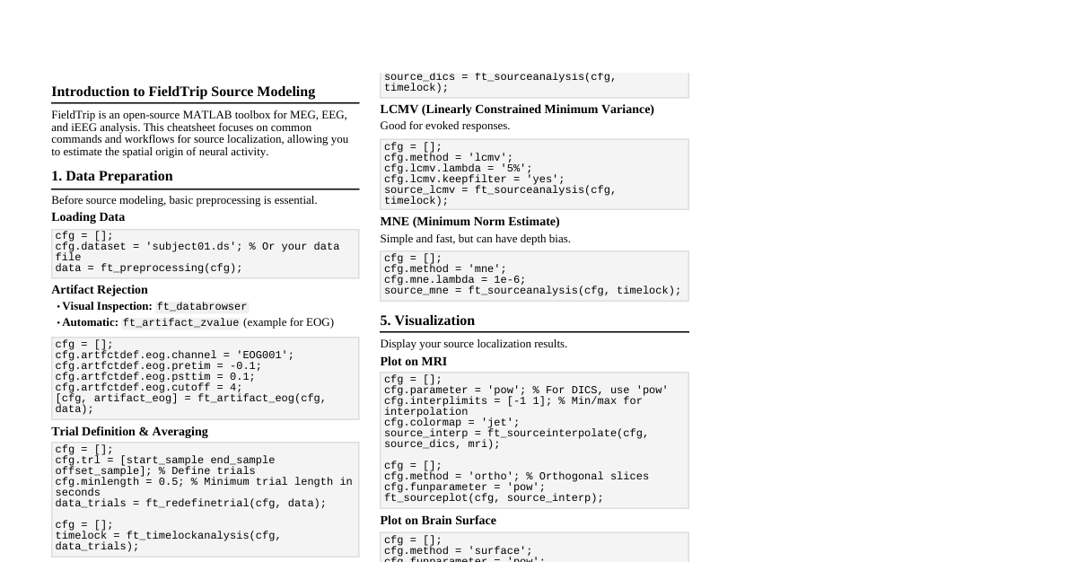 FieldTrip Source Model