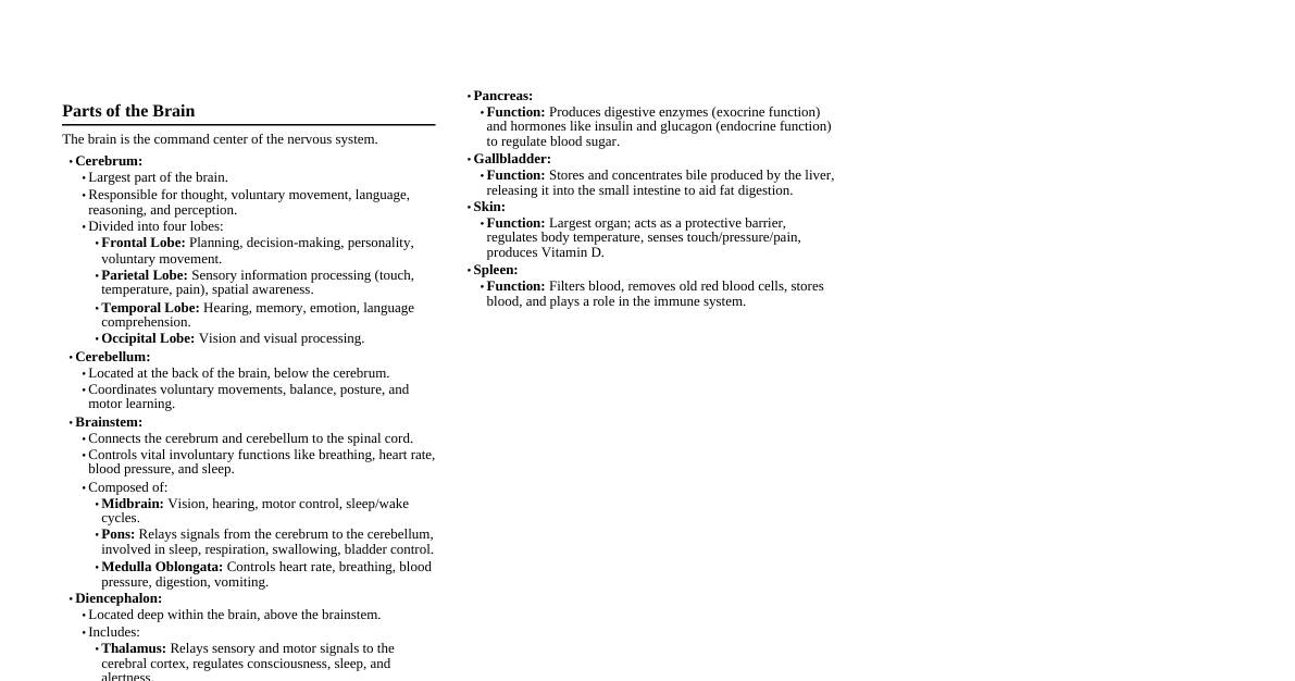 Human Anatomy Basics