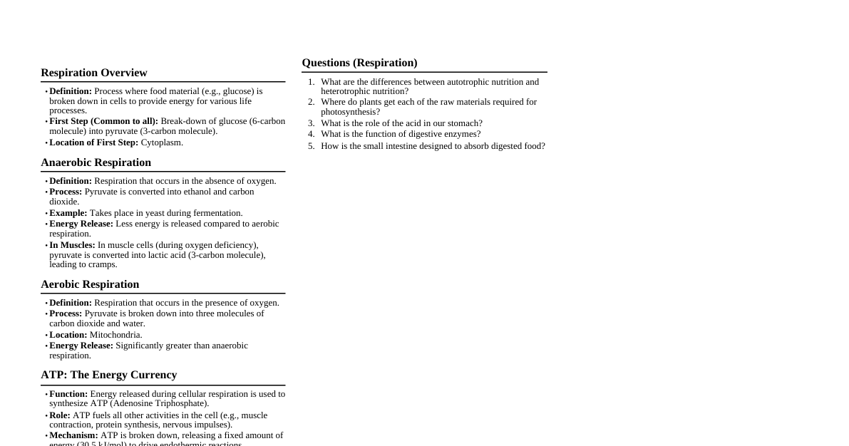 Respiration Summary