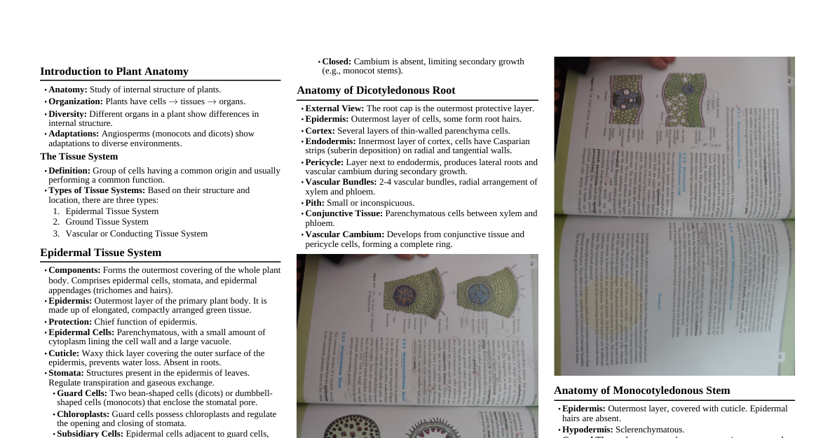 Anatomy of Flowering Plants
