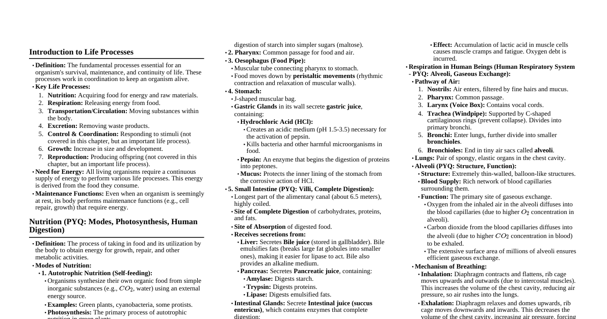 Life Processes (Class 10)