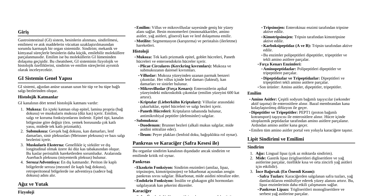 Gastrointestinal Sistem