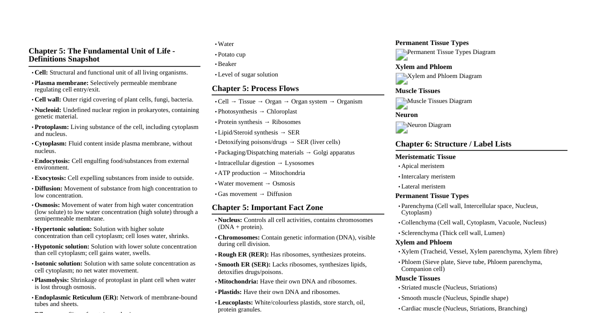 Biology Panic Revision