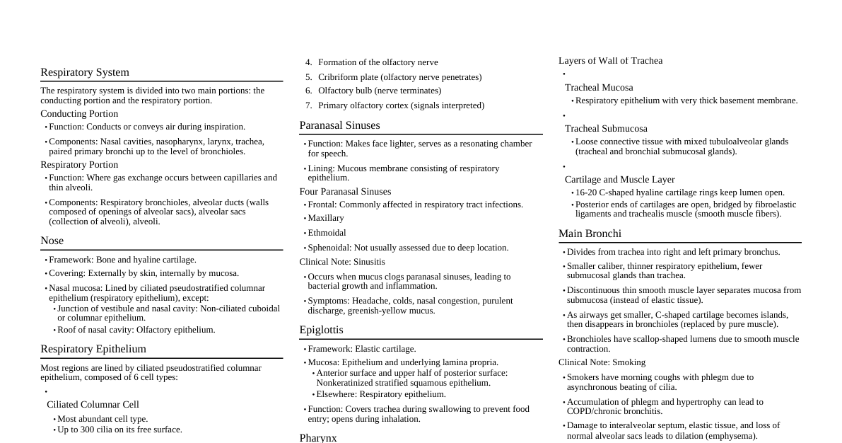 Histology of Respiratory Syste