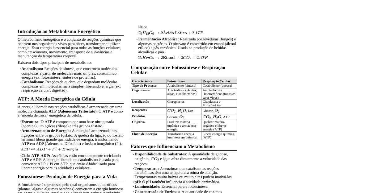 Metabolismo Energético