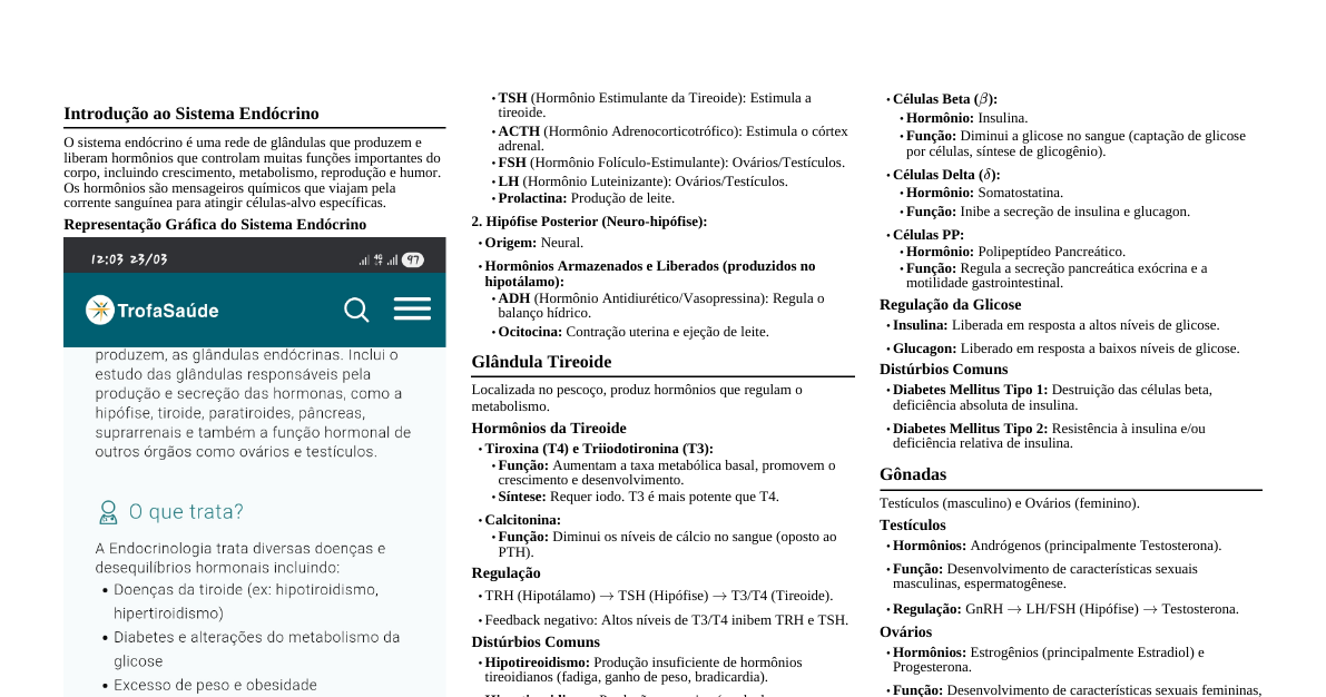 Endocrinologia Básica