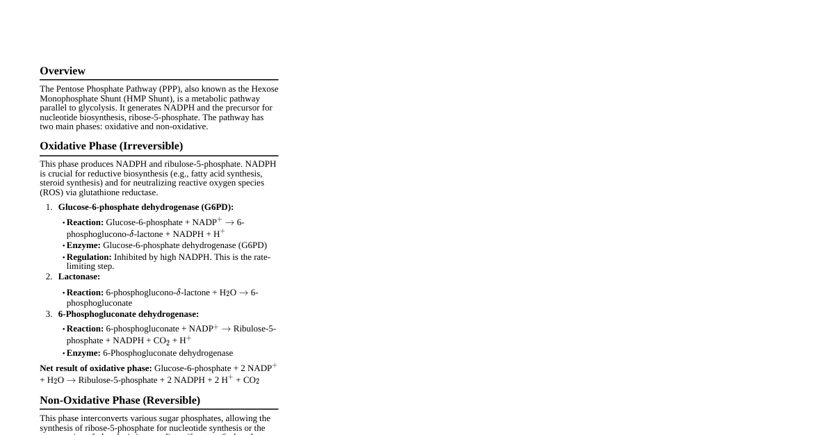Pentose Phosphate Pathway