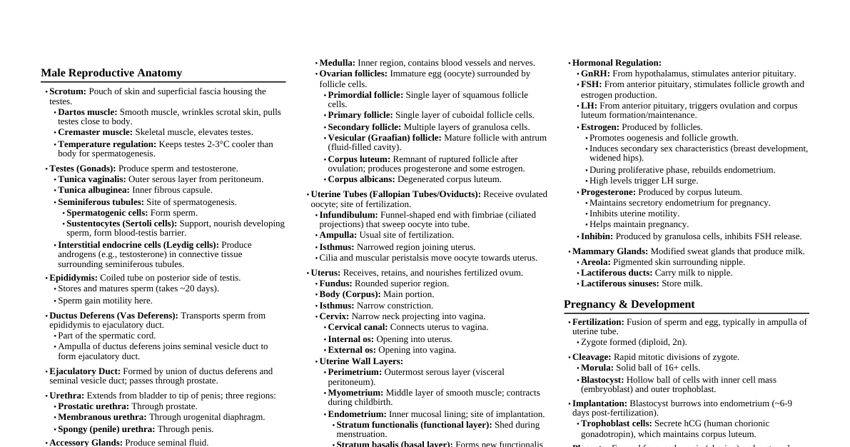 Reproductive System A&P