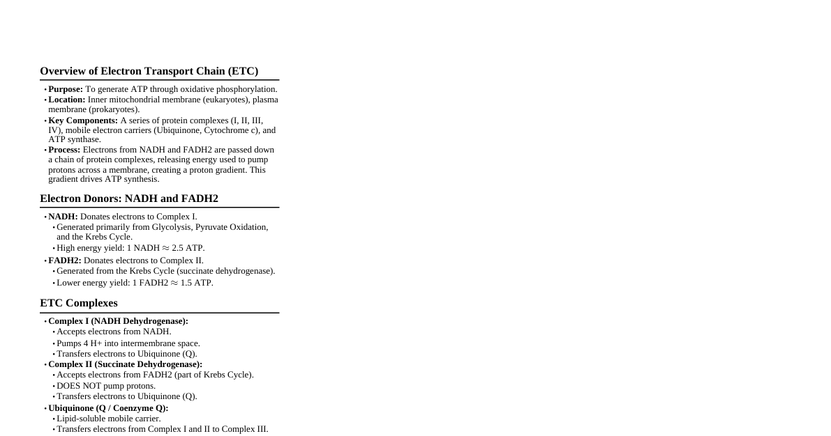 Electron Transport Chain
