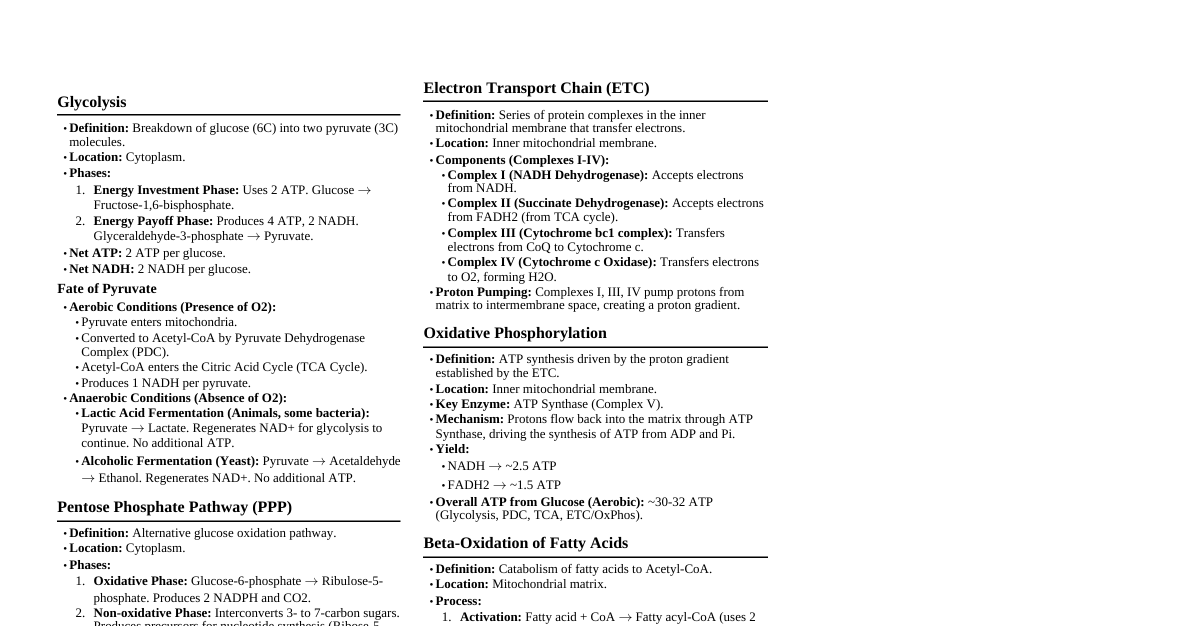 Carbohydrate Metabolism