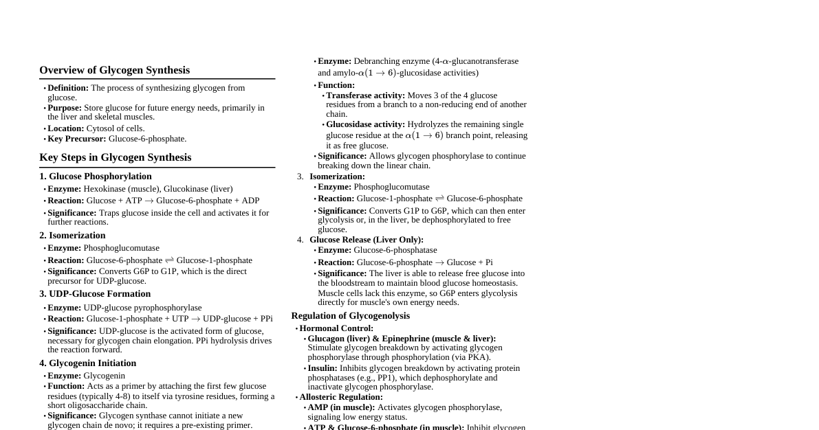 Glycogen Synthesis