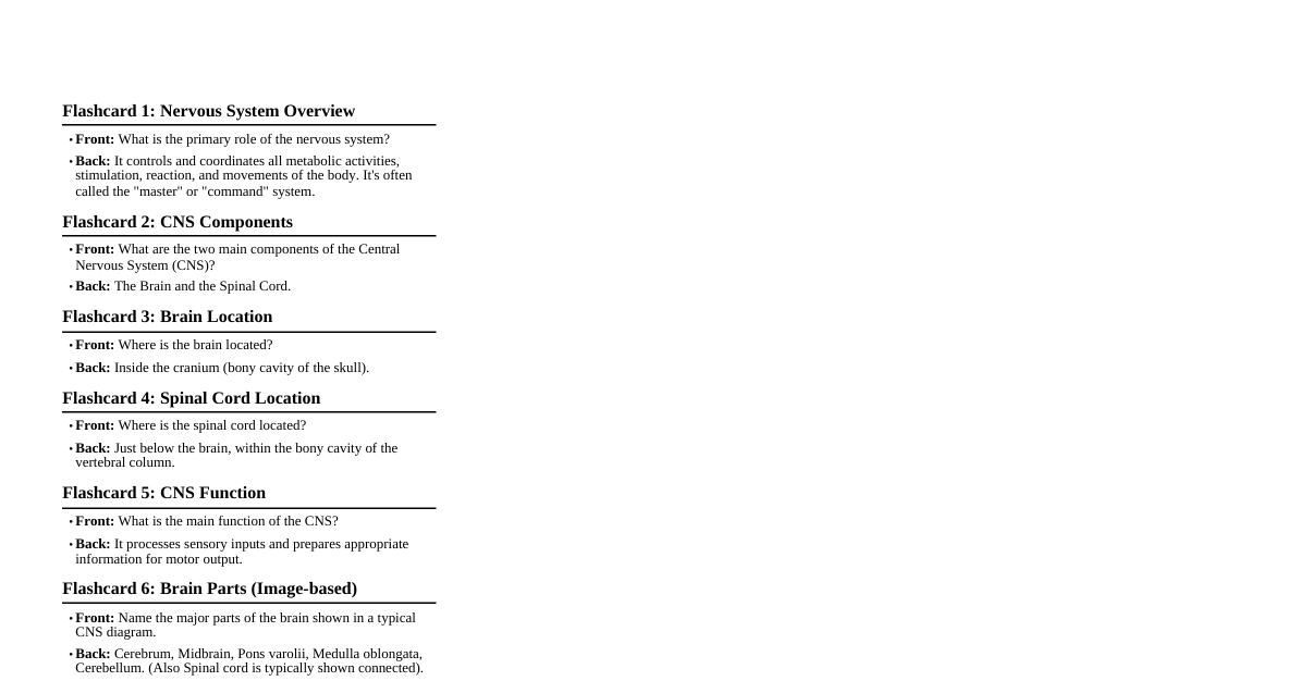 Nervous System Basics